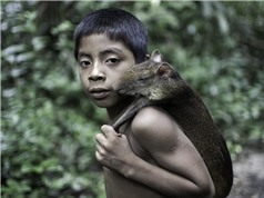 Bộ tộc kỳ lạ ở Amazon nhận động vật hoang dã làm con