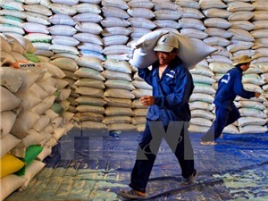 Bộ trưởng Cao Đức Phát: "Năm khó khăn của toàn ngành nông nghiệp”