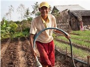  El Nino khiến nông nghiệp Việt Nam ảnh hưởng nặng nề