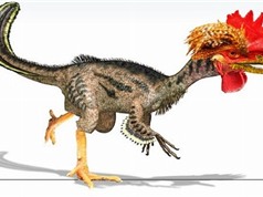 Sửng sốt thân hình khủng long lai tạo từ gà biến đổi gene 