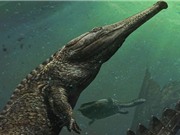 Phát hiện hóa thạch cá sấu cổ đại khổng lồ sống dưới biển