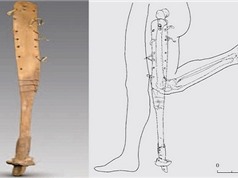 Phát hiện chân giả 2.200 năm tuổi trong mộ cổ ở Trung Quốc