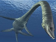 Nước Anh tìm thấy hóa thạch của loài khủng long mới