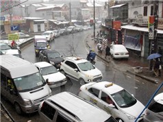 Lào Cai thiệt hại trên 5 tỷ đồng do rét đậm, rét hại và mưa tuyết