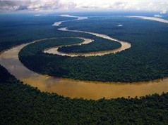 Top 10 con sông dài nhất thế giới