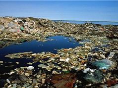 Đến năm 2050, rác thải nhựa xuống biển còn nhiều hơn cả cá