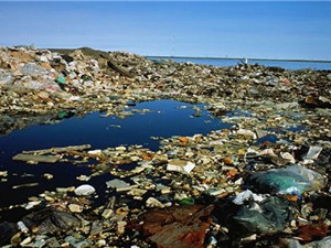 Đến năm 2050, rác thải nhựa xuống biển còn nhiều hơn cả cá