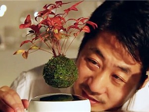 Nhật Bản gây sửng sốt với phát minh cây bonsai biết bay