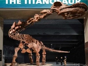 Phục dựng khủng long lớn nhất thế giới