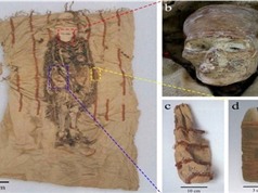 Phát hiện thỏi son 3.600 năm tuổi làm từ tim động vật