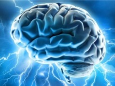 Công nghệ mới giúp kiểm soát trí não