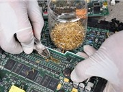 Tìm ra phương pháp tách vàng cực nhanh từ rác thải điện tử