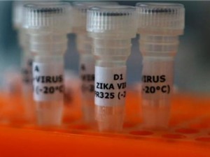 Thách thức lớn khi sản xuất vaccine cho virus Zika