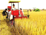 Khoa học công nghệ: “Chìa khóa vàng” của ngành nông nghiệp