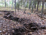 Bí ẩn khe nứt dài 110 m trong rừng Michigan