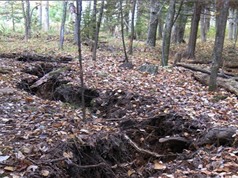 Bí ẩn khe nứt dài 110 m trong rừng Michigan