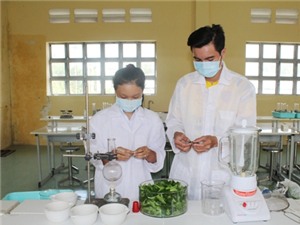 Học sinh trường làng nghiên cứu sáng tạo thuốc trừ sâu sinh học