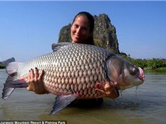 Khám phá “thiên đường” của những người thích chinh phục cá chép khổng lồ