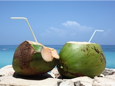  Lợi ích không ngờ của uống nước dừa mỗi sáng