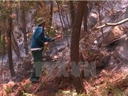 Báo động 12 tỉnh có nguy cơ cháy rừng ở cấp cực kỳ nguy hiểm