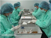 Việt Nam hướng đến hạn chế tối đa phản ứng phụ từ vắcxin