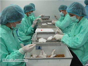 Việt Nam hướng đến hạn chế tối đa phản ứng phụ từ vắcxin