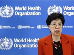 Tổng giám đốc WHO: "Các nghiên cứu mới nhất về virus Zika rất đáng lo ngại"