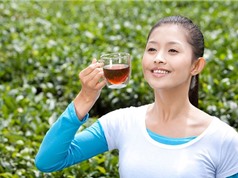 10 lợi ích thần kỳ cho sức khỏe của việc uống trà xanh
