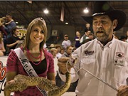 Lễ hội săn rắn độc lớn nhất thế giới gây tranh cãi
