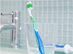 Bạn có biết cách dùng bàn chải đánh răng đúng cách?