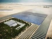 Qatar lên kế hoạch biến sa mạc Sahara thành vườn rau sạch khổng lồ