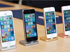 Bị “ném đá”, iPhone SE vẫn nhận lượng đơn đặt hàng cực “khủng”