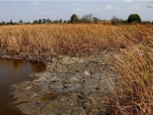 Độ mặn ở Nam Bộ sẽ tăng trở lại, hạ lưu Mekong không có mưa