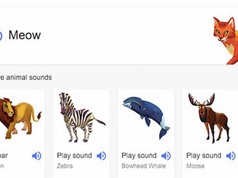 Google ra mắt tính năng "nghe tiếng động vật"
