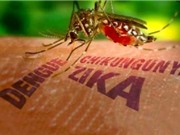 Bộ Y tế công bố hai bệnh nhân Việt Nam dương tính với virus Zika