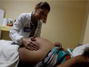Thai phụ có nên giữ thai nhi khi nhiễm virus Zika?