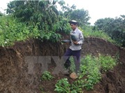 Tìm ra nguyên nhân gây hiện tượng rạn, nứt đất ở Gia Lai