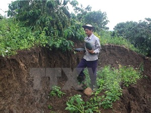 Tìm ra nguyên nhân gây hiện tượng rạn, nứt đất ở Gia Lai