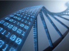 Lưu trữ hình ảnh kỹ thuật số trong ADN