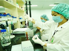 300 người tham gia thử nghiệm giai đoạn 2 vắc xin cúm A/H5N1