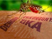Việt Nam chính thức hết dịch do virus Zika
