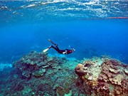 Sụt giảm oxy trong đại dương có thể dẫn đến thảm họa toàn cầu