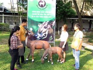 Triển lãm về loài thú cổ đại bí ẩn nhất trên thế giới tại Huế