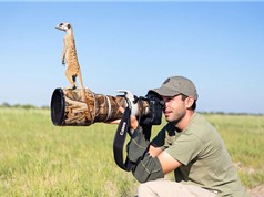 Những khoảnh khắc “khó đỡ” của động vật trước ống kính máy ảnh