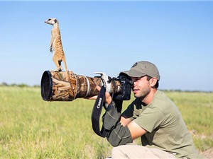 Những khoảnh khắc “khó đỡ” của động vật trước ống kính máy ảnh