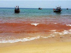 ​Xuất hiện vệt nước đỏ 1,5km dọc bờ biển Quảng Bình
