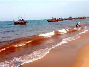 ​Nước biển đỏ ở Quảng Bình không phải là thủy triều đỏ