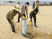 Khảo sát vùng biển nghi có cá chết "xếp thành lớp" ở Quảng Bình