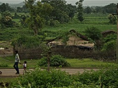 Giải mã bí mật làng tự tử ở Ấn Độ