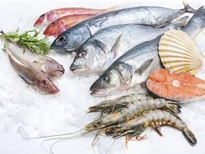 Ba nguyên tắc cho trẻ ăn hải sản tránh ngộ độc